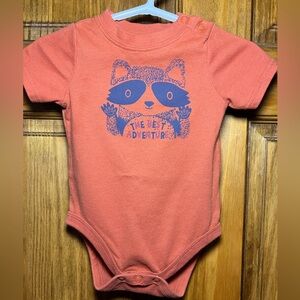 3-Baby Boy Onesies